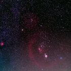 Orion widefield (Bernards Loop)