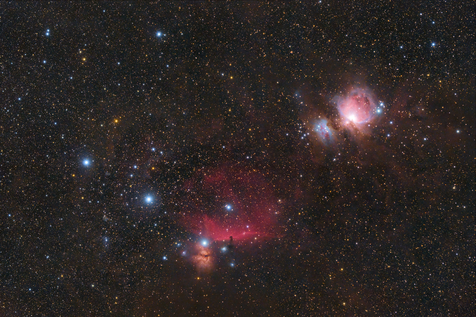 Orion Widefield