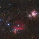 Orion Widefield