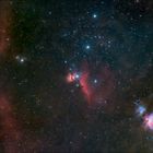[ Orion Widefield ]