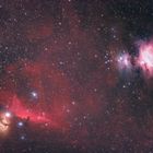 Orion Widefield 