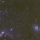 Oriongebiet mit M42, Flammen und Perdekopfnebel