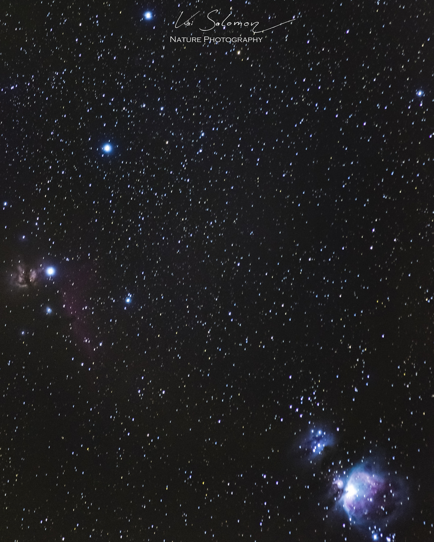 Oriongürtel, Flammennebel, Pferdekopfnebel und Orionnebel