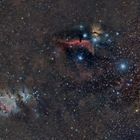 Orionkomplex: M 42, IC 434 und NGC 2024 