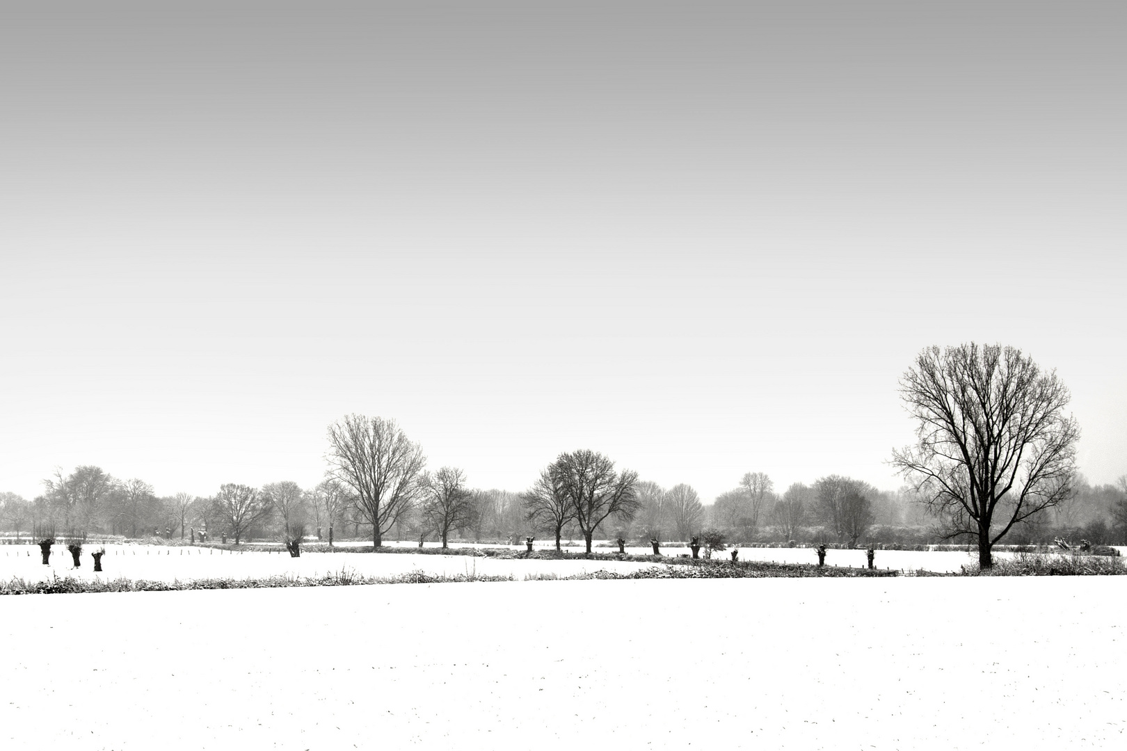 Orker Schneewiesen am Rheindamm