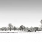 Orker Schneewiesen am Rheindamm