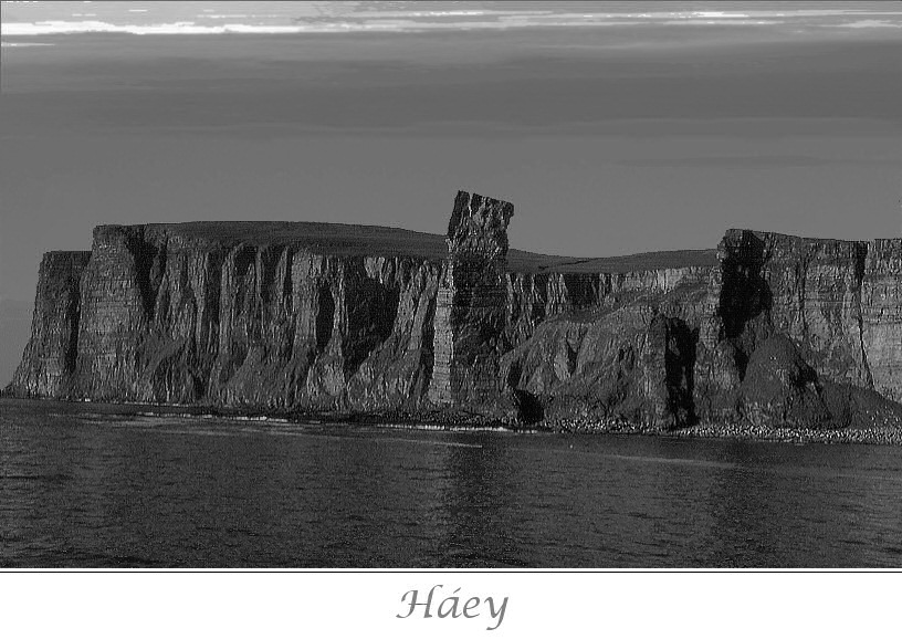 Orkney Cliffs (1)