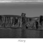 Orkney Cliffs (1)