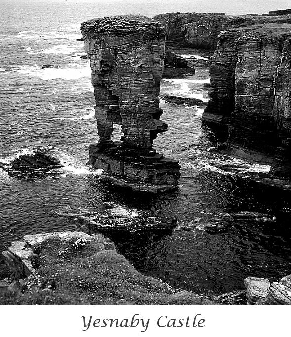 Orkney Cliffs (2)