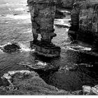 Orkney Cliffs (2)
