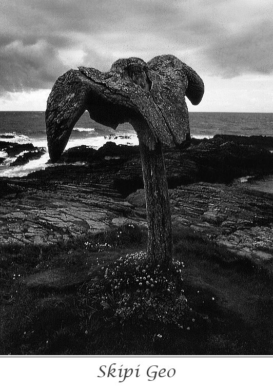 Orkney Cliffs (3)