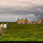 Orkney Inseln - Schottland