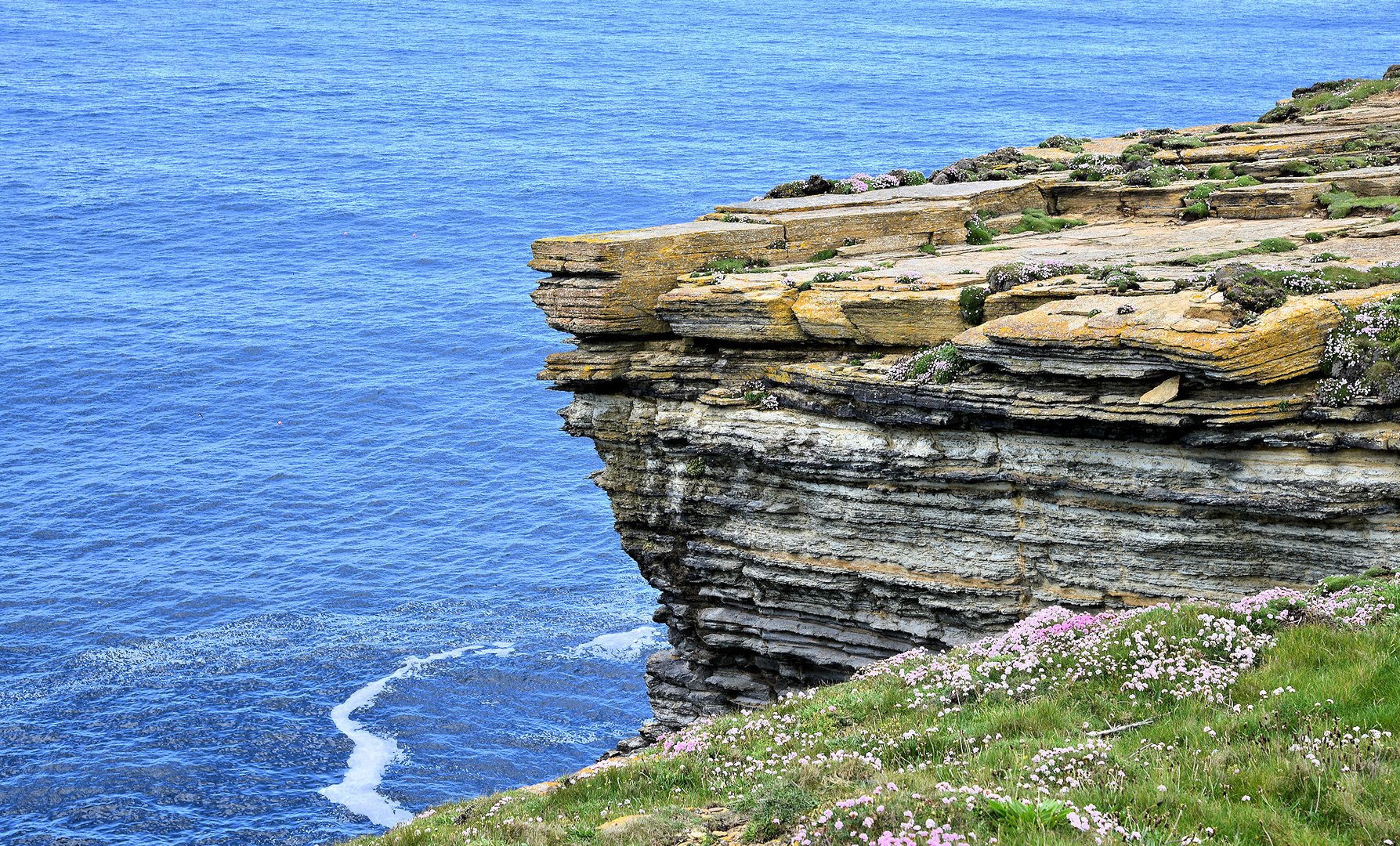 Orkney_3