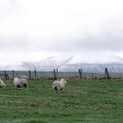 Orkneys im Winter