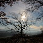 Orlamünde- Blick ins Saaletal