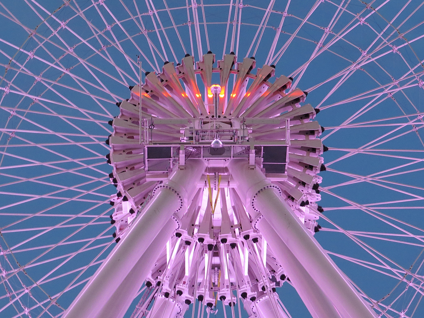 Orlando Eye Detail