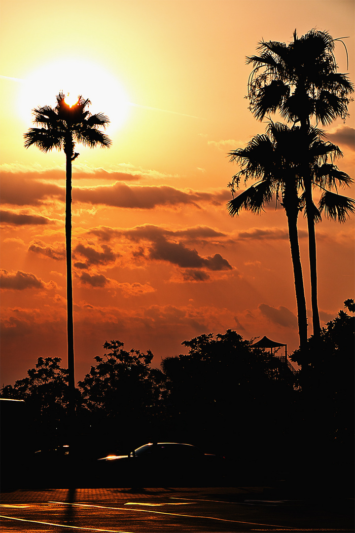 Orlando Sunset