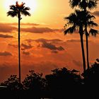 Orlando Sunset