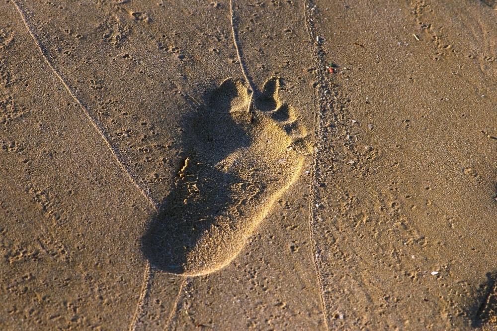 ORME DI HOMO SAPIENS?