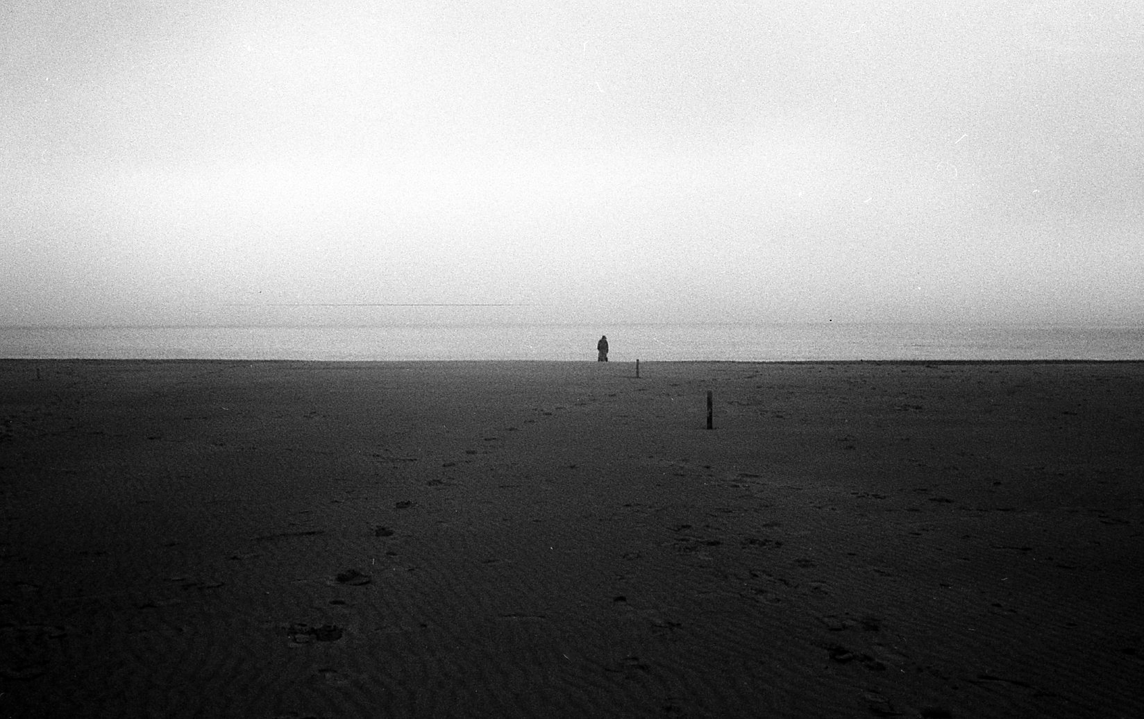 orme di un solitario in the beach.