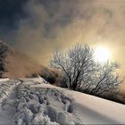 orme nella nebbia