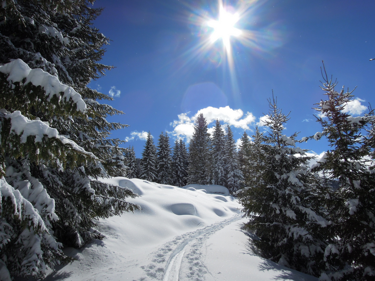 orme nella neve