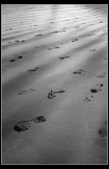 ... ORME SULLA SPIAGGIA