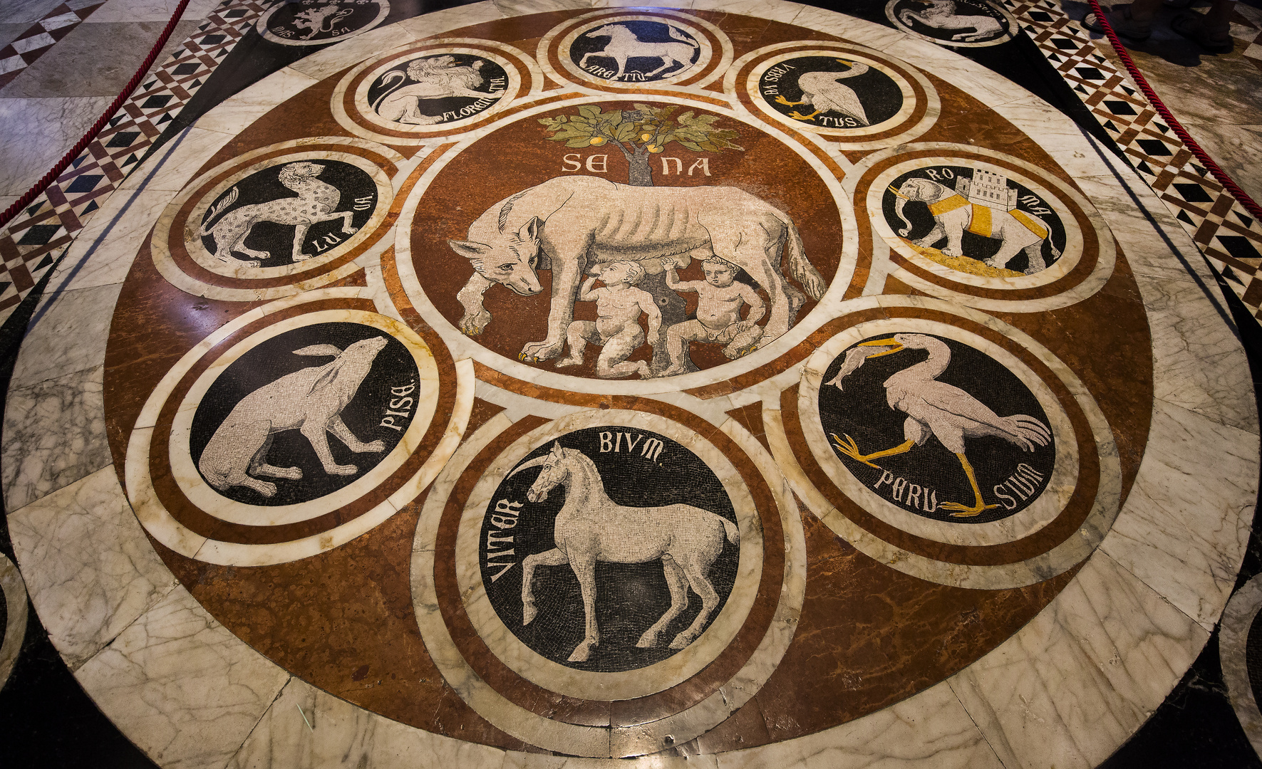 Ornamente im Dom von Siena