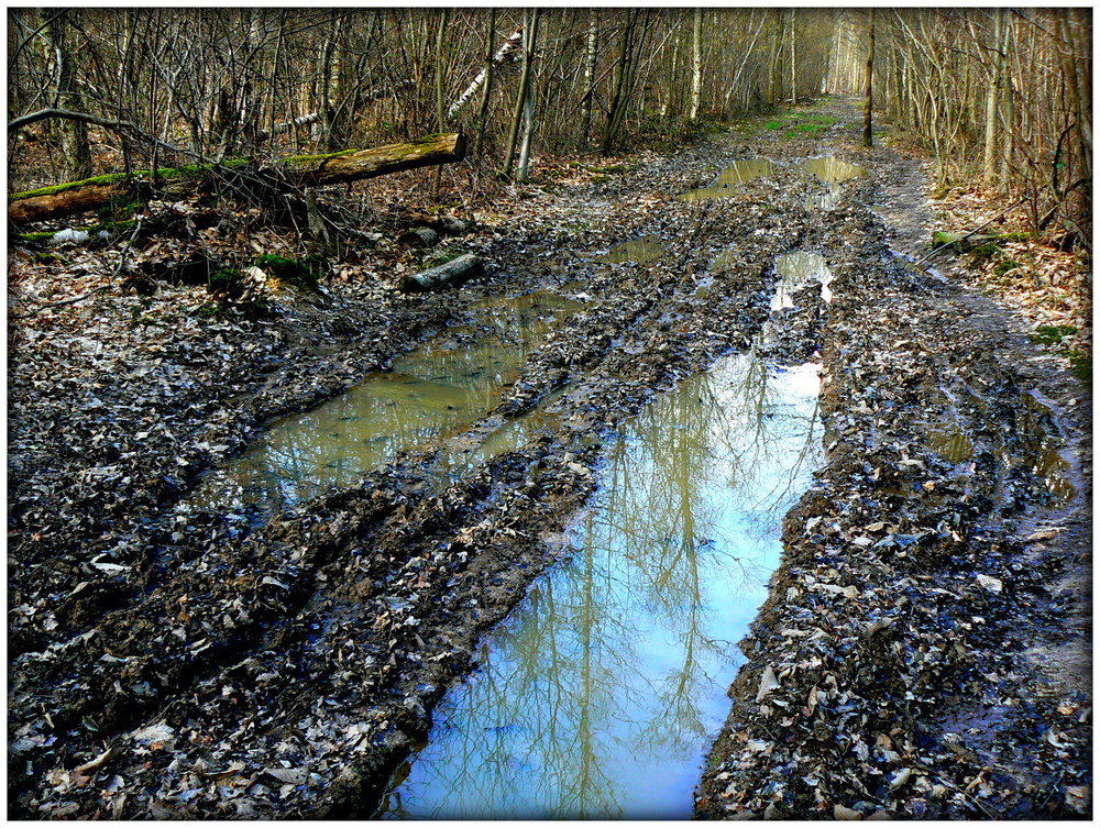 ORNIERES QUI SE VEULENT MIROIRS .