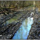 ORNIERES QUI SE VEULENT MIROIRS .