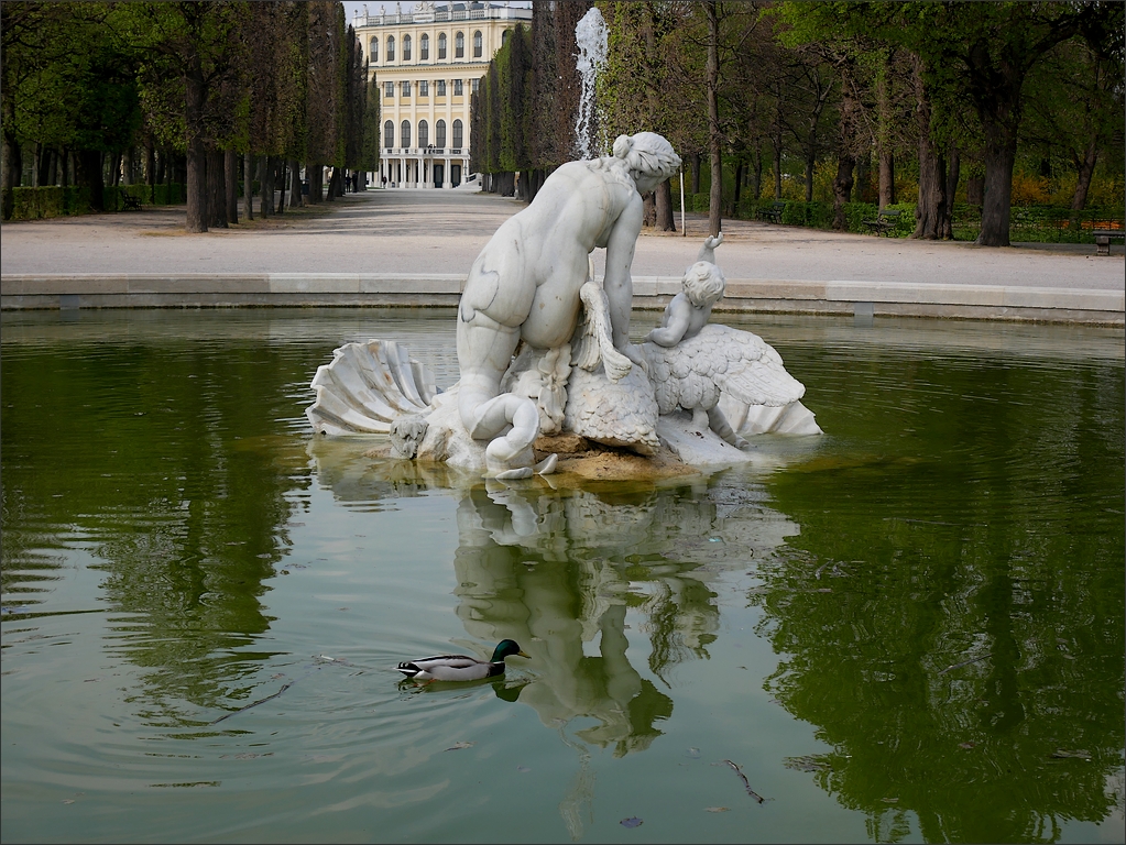 Ornithologie dans le parc de Schönbrunn