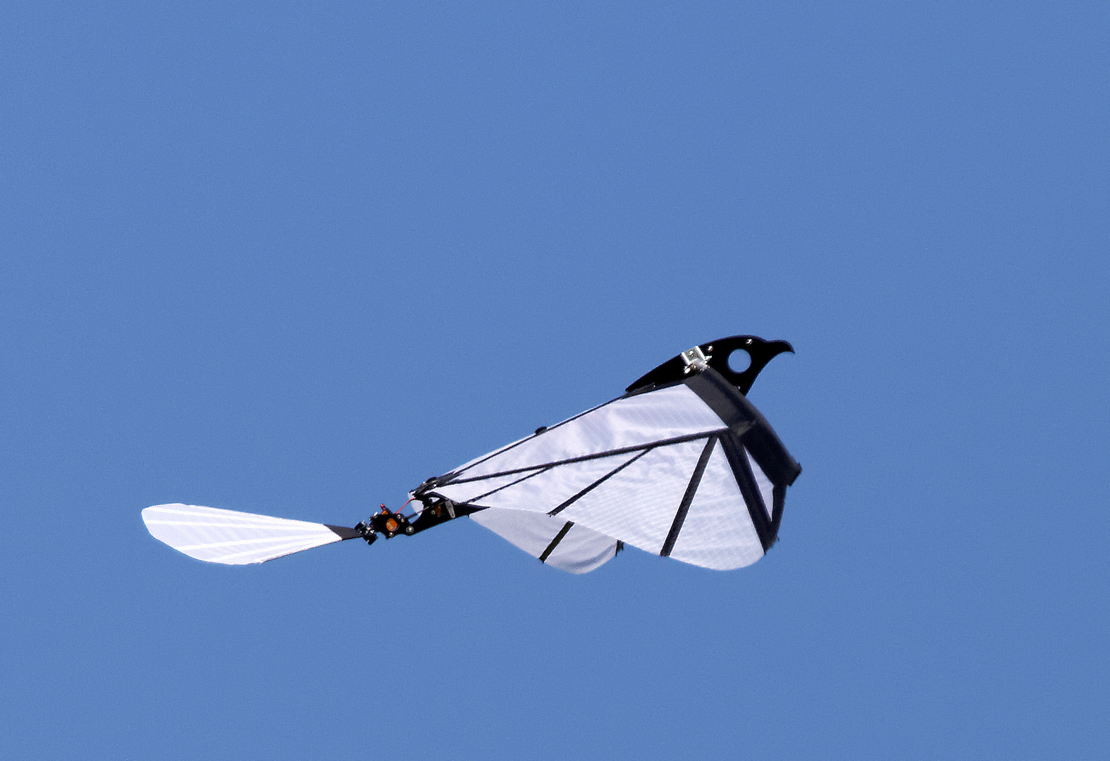 Ornithopter