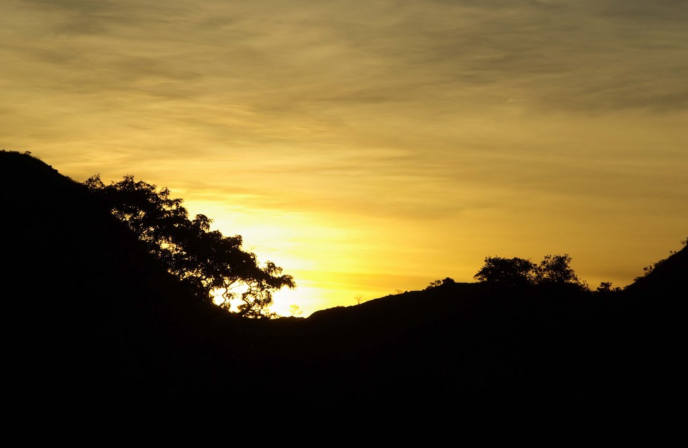 oro en el cielo