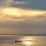 Oro sul golfo di Trieste