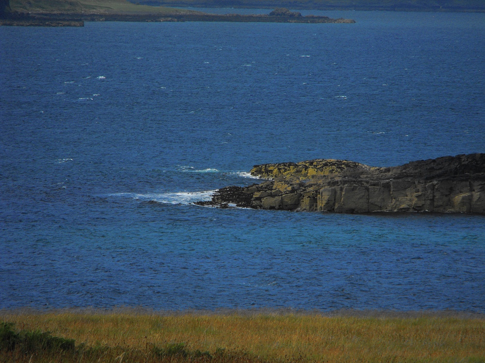 Oronsay