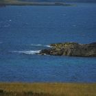 Oronsay