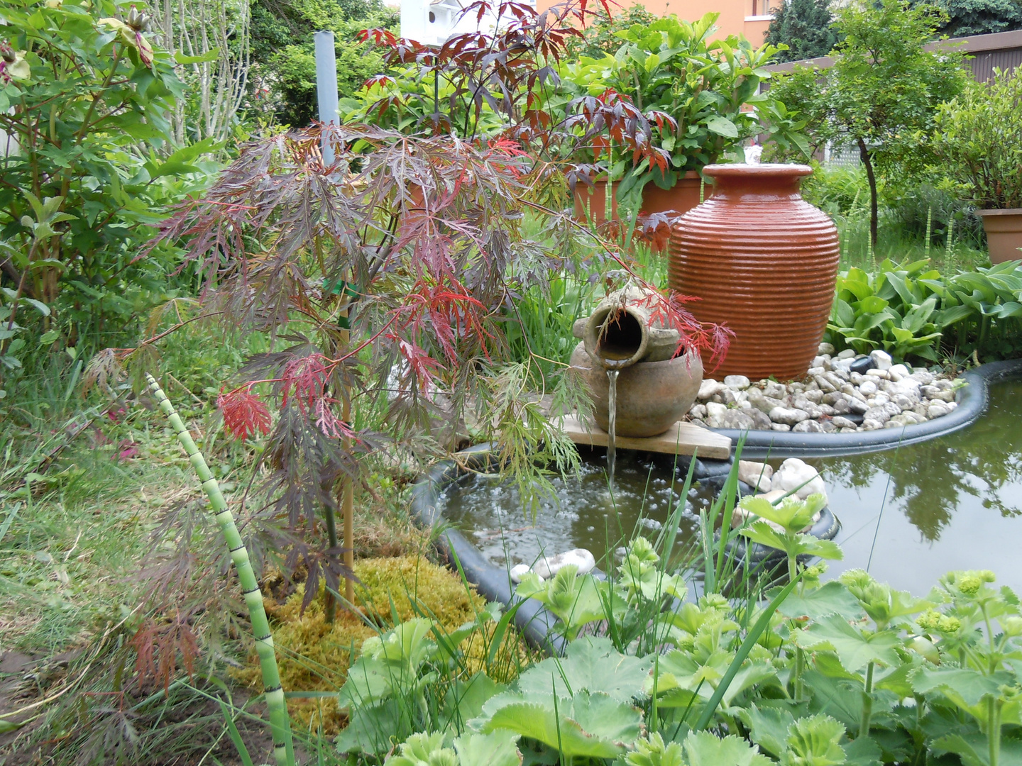 Ort der Ruhe und Besinnung Foto & Bild landschaft, garten