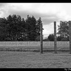 Ort des Leids (Sachsenhausen 2)