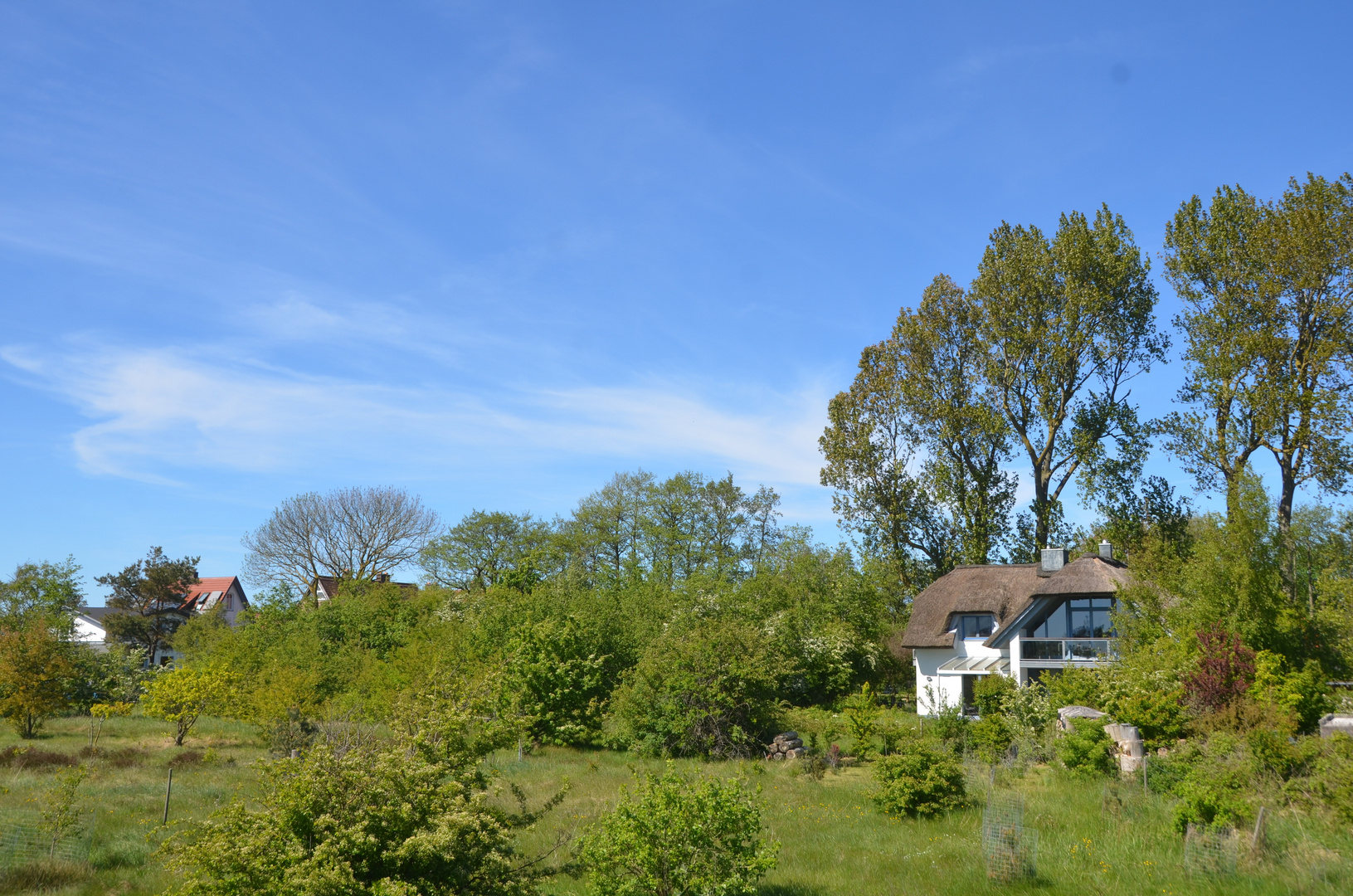 Ort : Vitte Insel Hiddensee