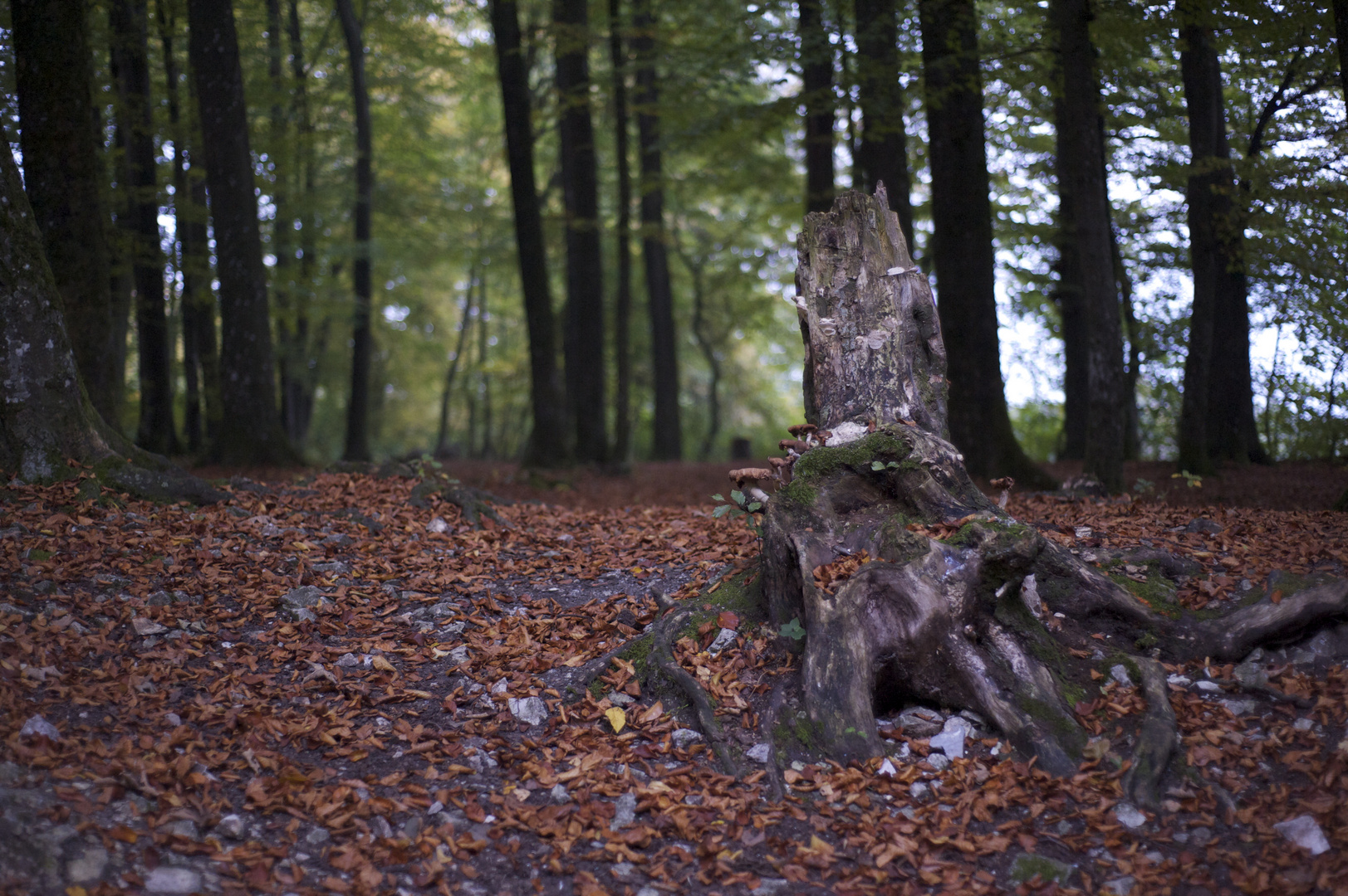 Ort zum Nachdenken und abschalten