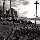 Ortaköy Istanbul