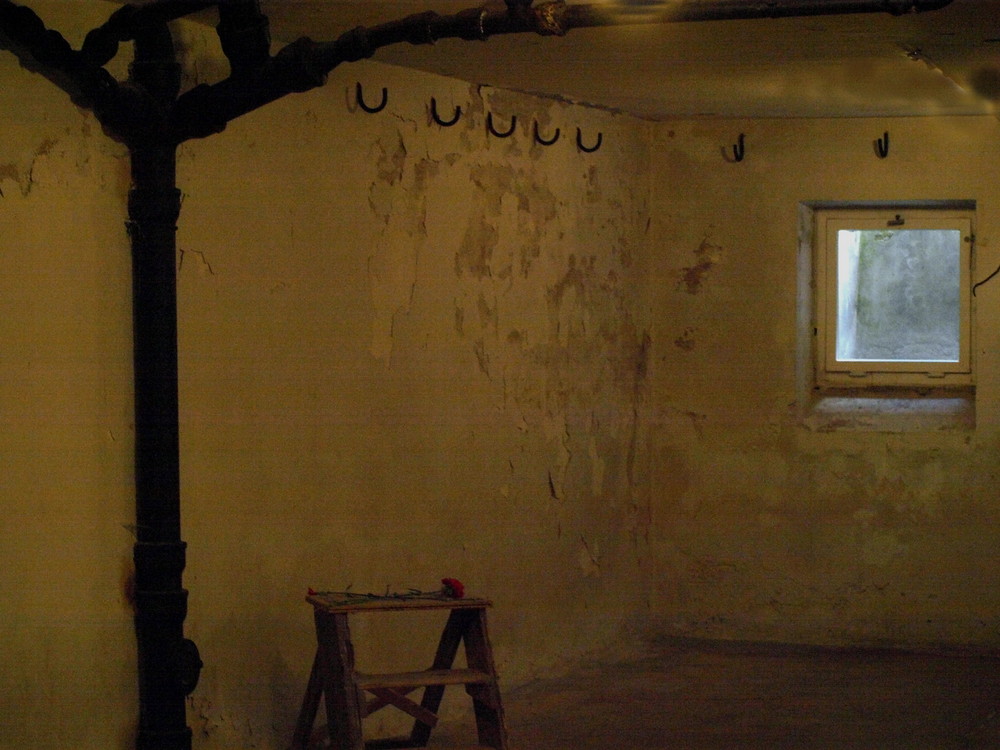 Orte des Grauens: Keller des Todes in Buchenwald