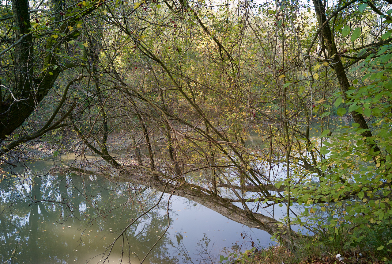 Orth an der Donau