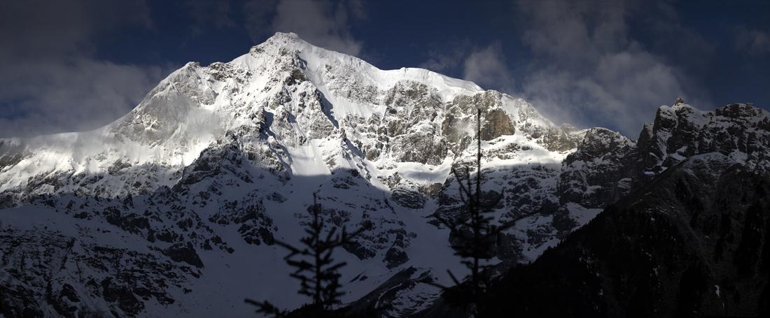 Ortler