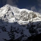 Ortler