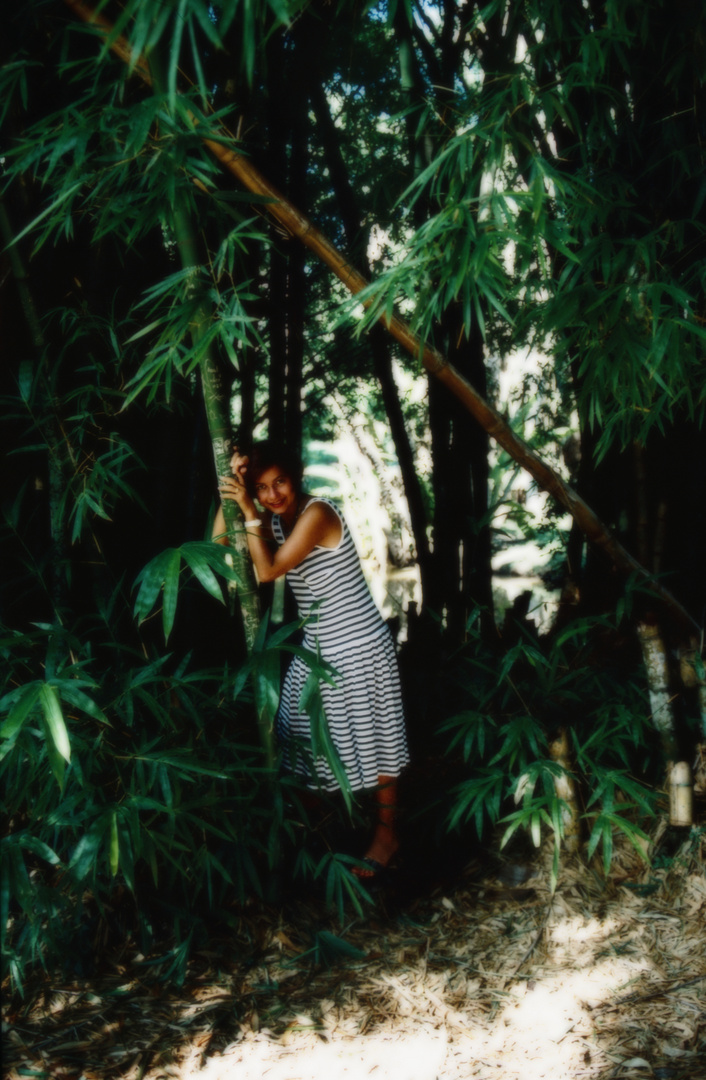 Orto botanico di Cienfuegos (Cuba 1987)