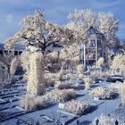 Orto botanico di Padova - Padua Botanical Garden [IR-2]