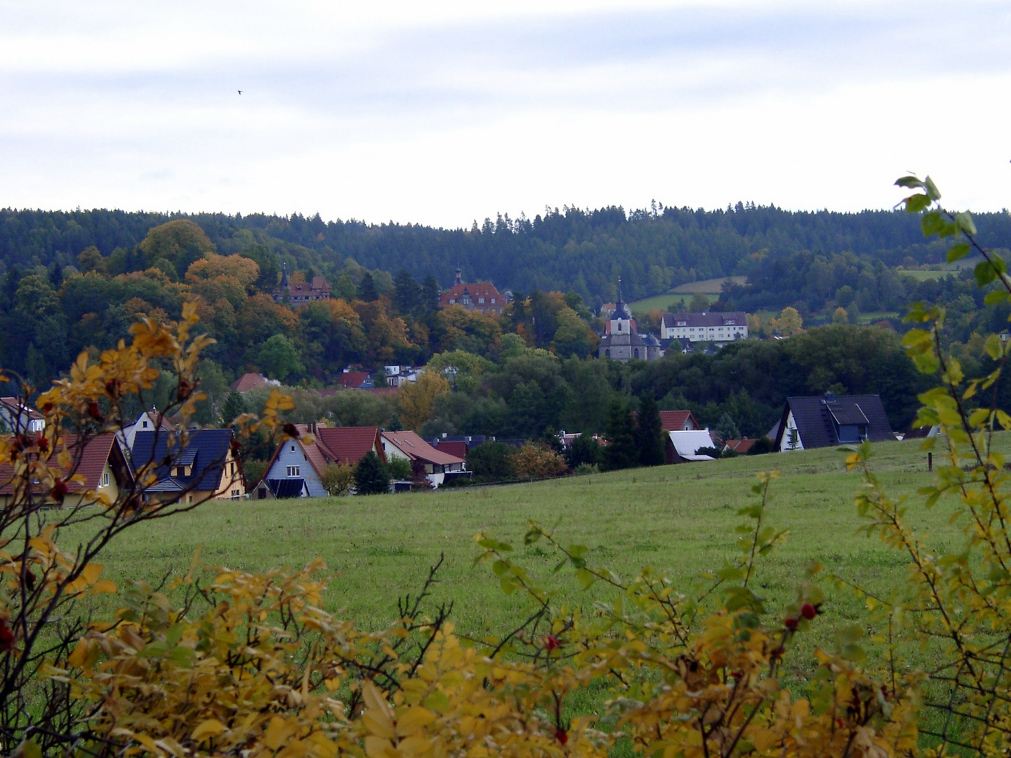 Ortsansicht Neuhaus/Schierschnitz