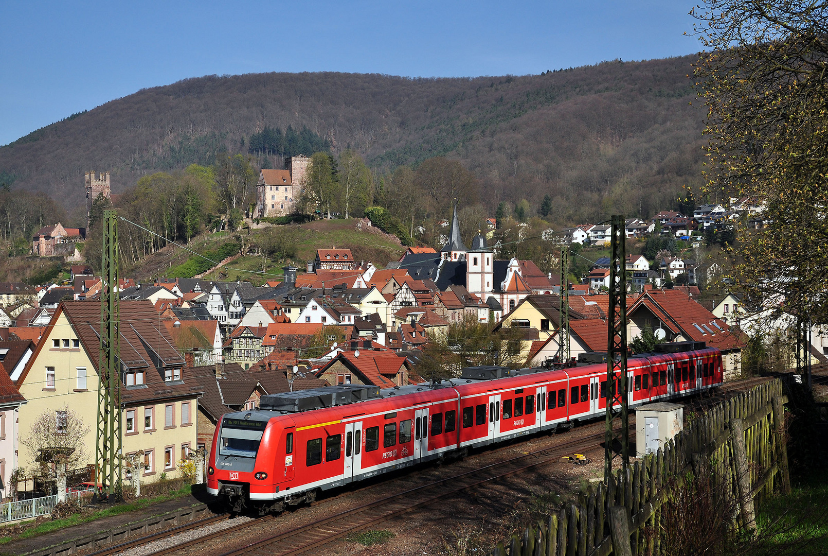 Ortsblick Neckarsteinach