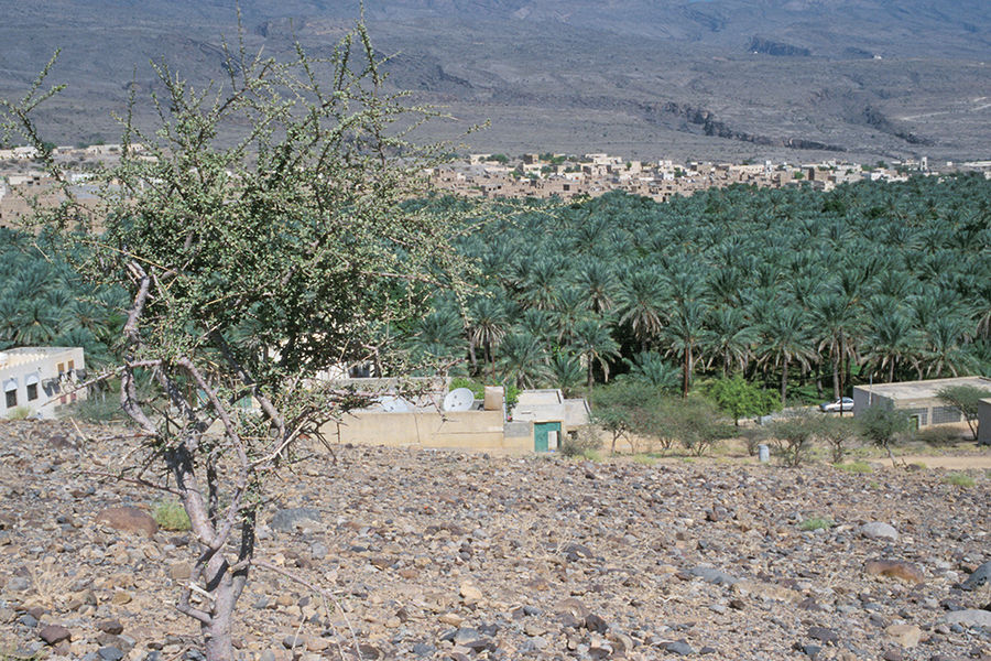Ortschaft im Oman